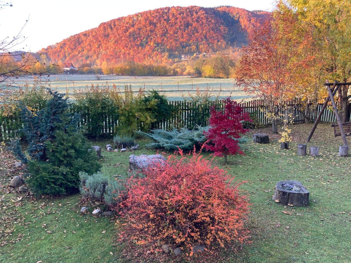 Pensiunea Aron 2 Bran  Esterno foto