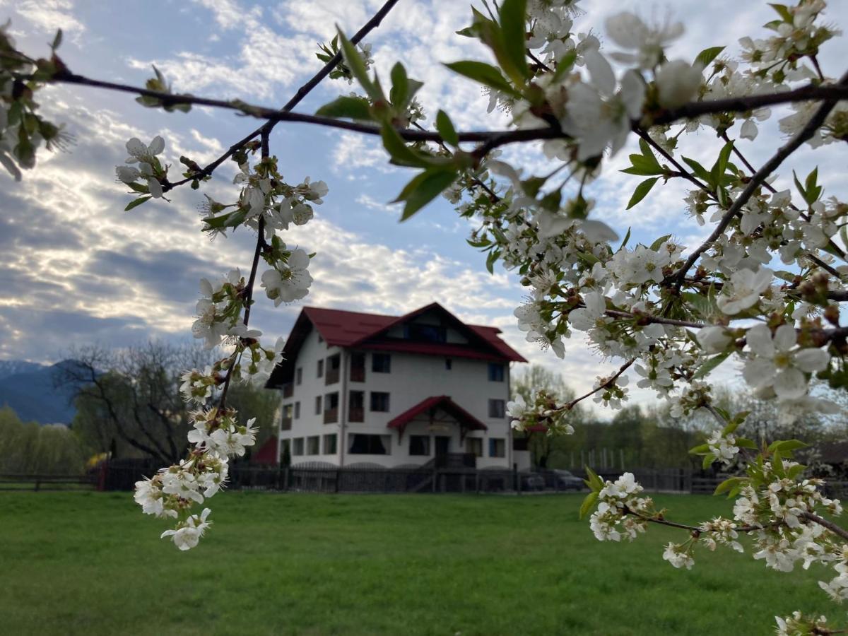 Pensiunea Aron 2 Bran  Esterno foto
