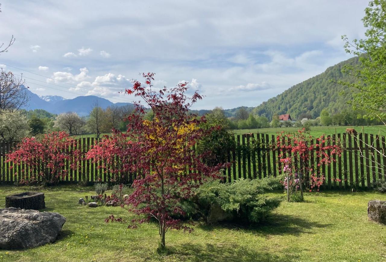 Pensiunea Aron 2 Bran  Esterno foto
