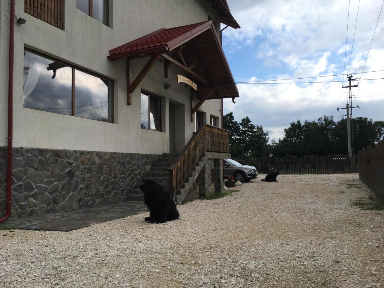 Pensiunea Aron 2 Bran  Esterno foto