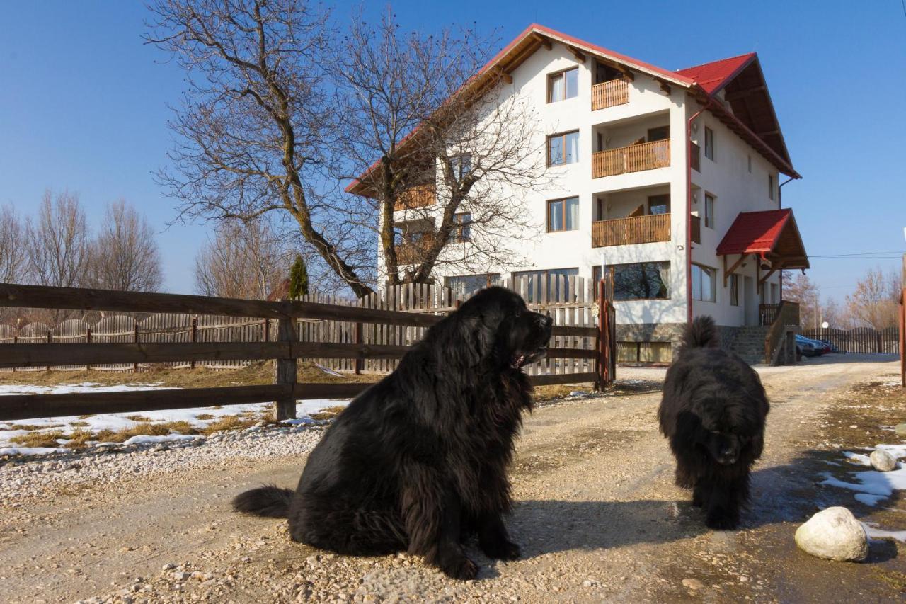 Pensiunea Aron 2 Bran  Esterno foto