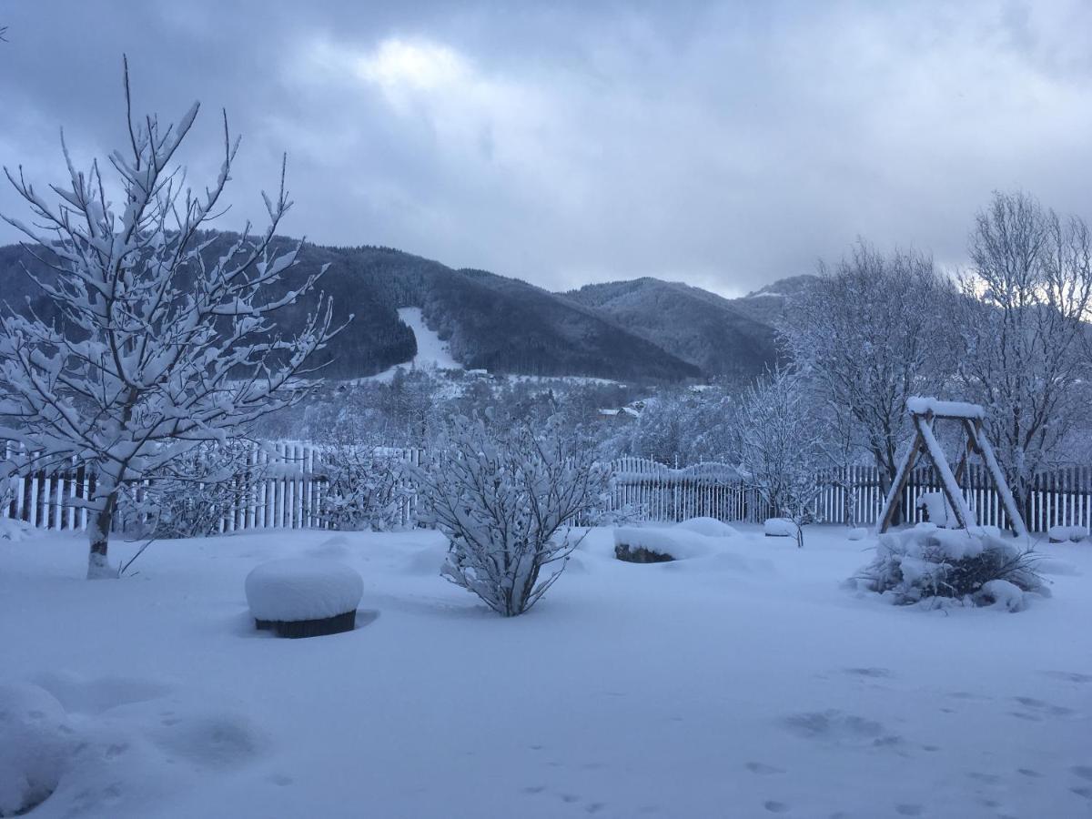 Pensiunea Aron 2 Bran  Esterno foto