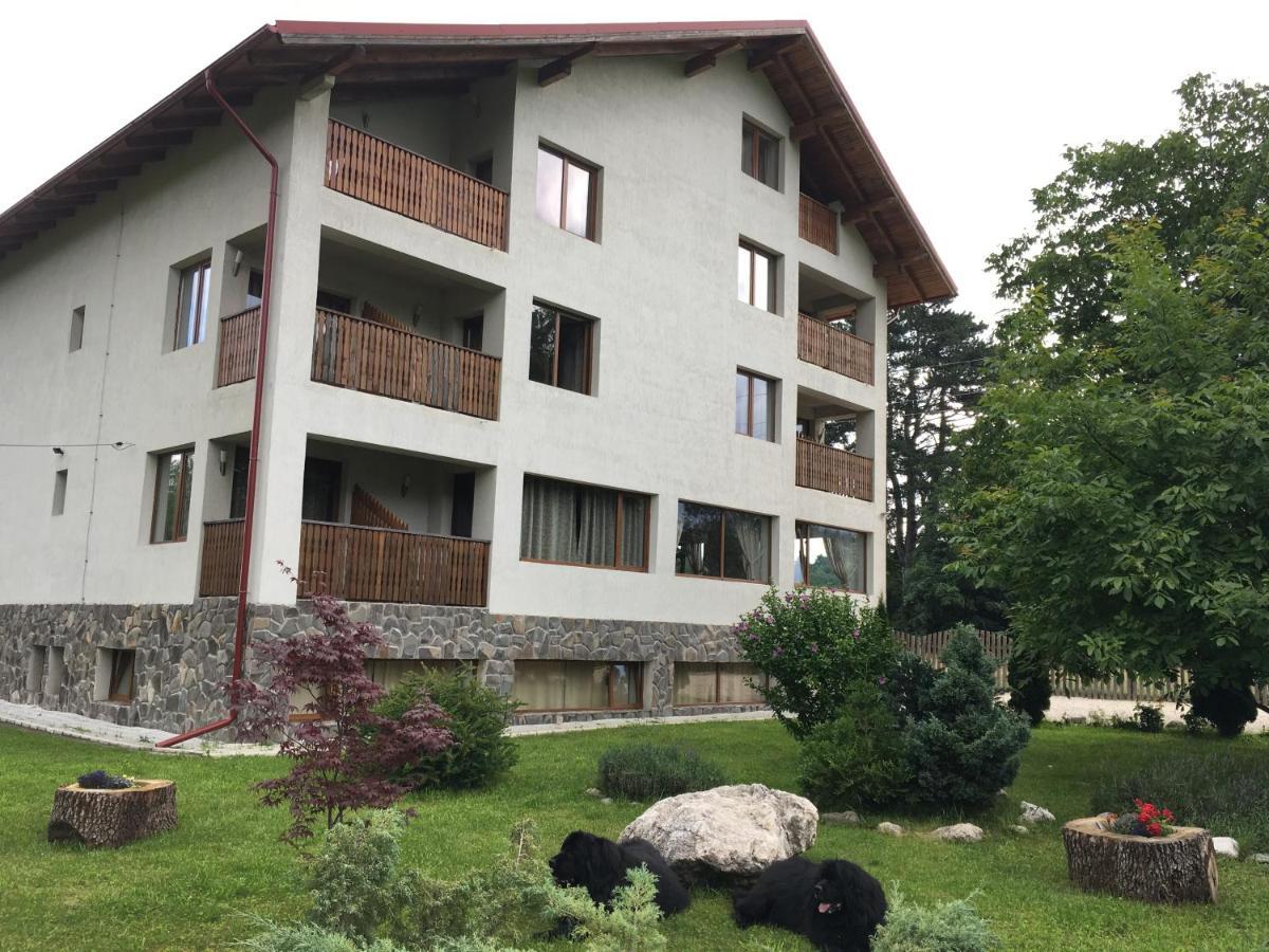 Pensiunea Aron 2 Bran  Esterno foto